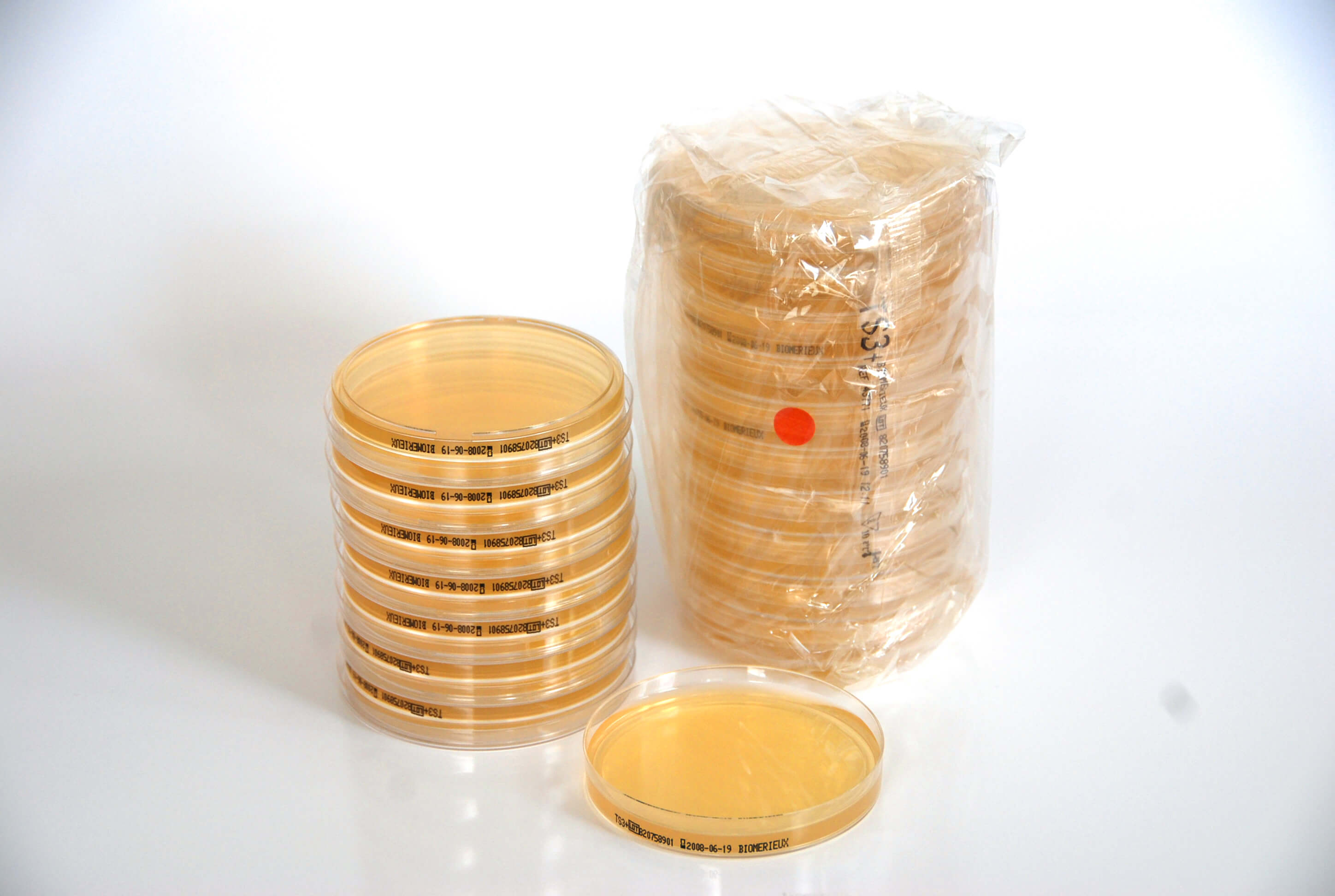 Biomerieux A3p Industrie Pharmaceutique Biotechnologie