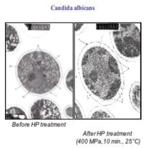 Figure 1 : application de hautes pressions hydrostatiques