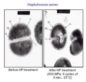 Figure 1 bis : application de hautes pressions hydrostatiques