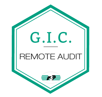 remote-audit-a3p