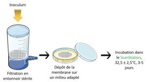 Détection des colonies : Figure &