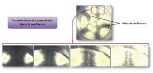 Détection des colonies : Figure 3