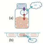 Stabilité : Figure 3