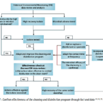 Cleaning and disinfection program part of the lifecycle approach : a risk based rather arbitrarily imposed approach