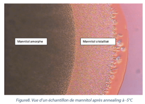 pourquoi et faire une caractérisation thermique d’un produit avant lyophilisation