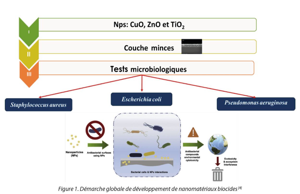 Development of a new preventive approach to reduce microbial infections with metal oxide nanoparticles