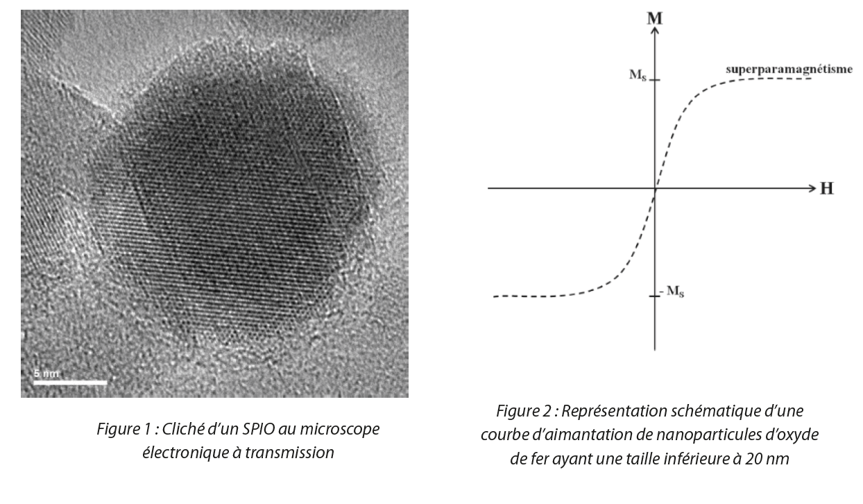 https://www.a3p.org/wp-content/uploads/2023/05/nanoparticules-gene-cell-therapy-a3p-la-vague-2023-fig1-2.png