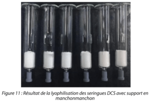 DCS Remplissage A3p La Vague 2023 Fig11