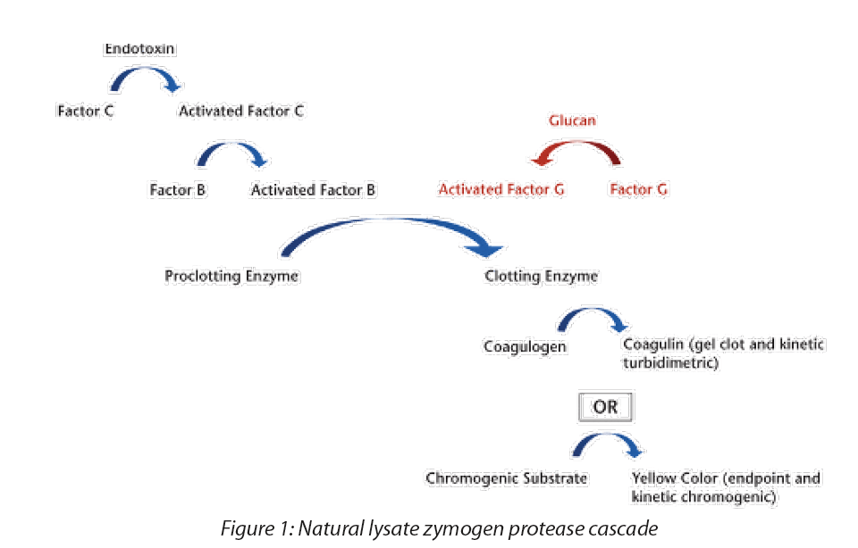 https://www.a3p.org/wp-content/uploads/2024/04/General-Considerations-Bacterial-Endotoxins-USP-Approach-Developing-GC-86-Bacterial-Endotoxins-Test-Using-Recombinant-Reagents-la-vague-81-figure-1.png