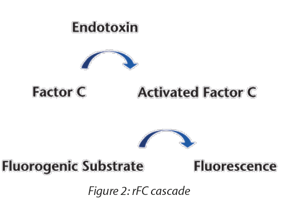 https://www.a3p.org/wp-content/uploads/2024/04/General-Considerations-Bacterial-Endotoxins-USP-Approach-Developing-GC-86-Bacterial-Endotoxins-Test-Using-Recombinant-Reagents-la-vague-81-figure-2.png