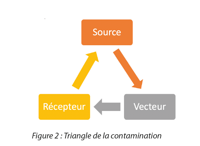 https://www.a3p.org/wp-content/uploads/2024/07/Analyse-risque-transport-produit-a3p-la-vague-82-juillet-2024-fig3.png