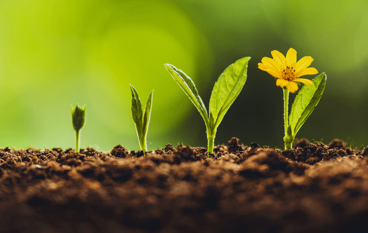 Waste Mapping La-vague 89 2026 Waste Mapping La-vague 89 2026